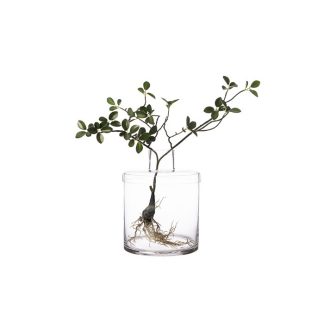 ERNST Vas d16 h21cm med lock -50%